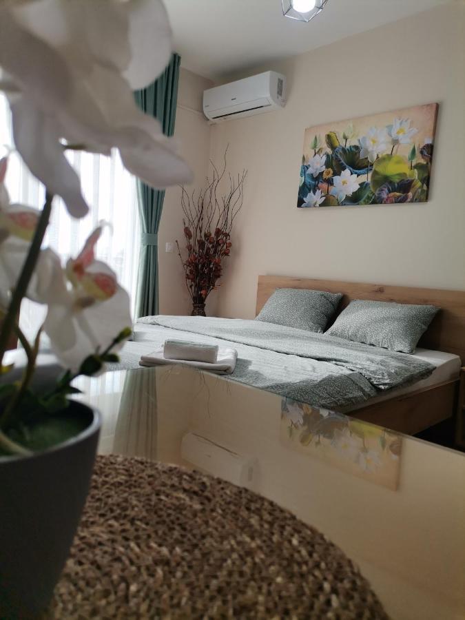 Jana Apartment Ohrid Exterior photo